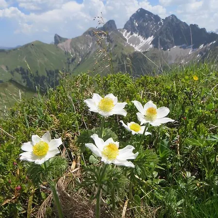 Apart Franzi Appartement Arzl im Pitztal